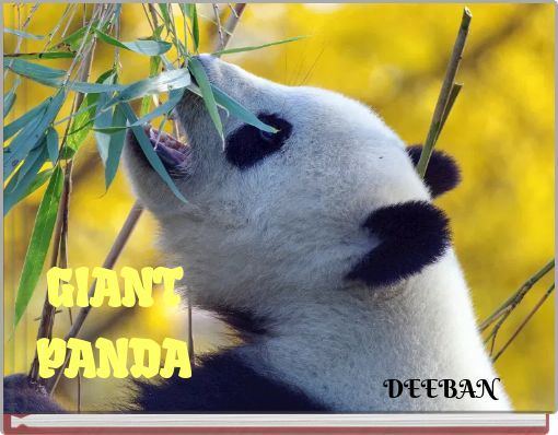 GIANT PANDA