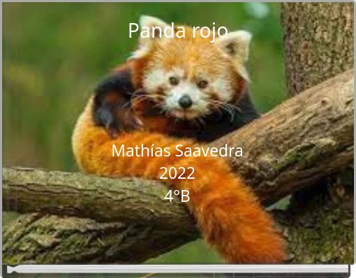 Panda rojo