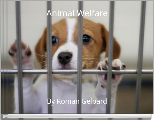 Animal Welfare