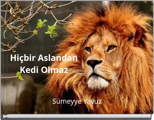 Hi&ccedil;bir Aslandan Kedi Olmaz