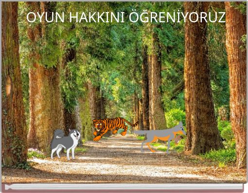 OYUN HAKKINI ÖĞRENİYORUZ