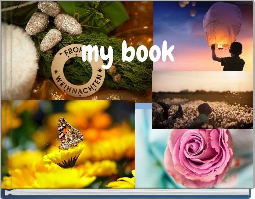 my book