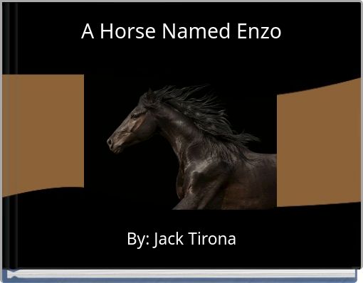 A Horse Named Enzo