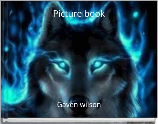 Front cover of 'Picture book' 