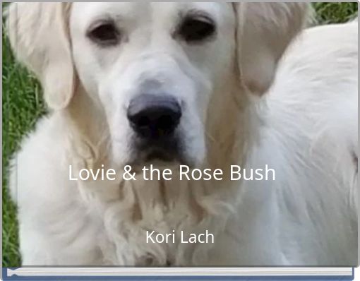 Lovie & the Rose Bush