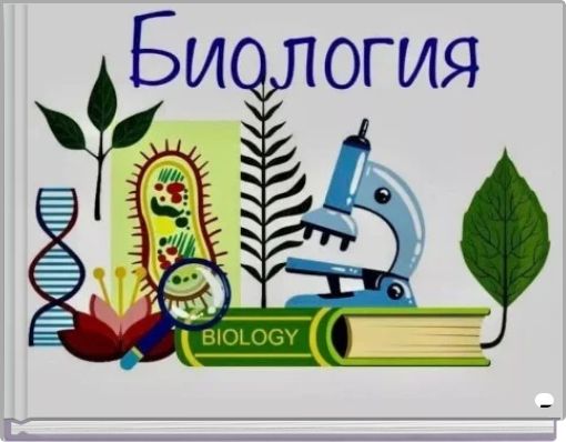 Тема урока: Значение кожи, строение и функции. Регуляция потоотделения