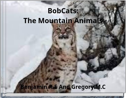 BobCats: The Mountain Animals