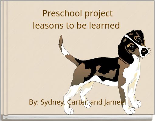 Preschool project leasons to be learned