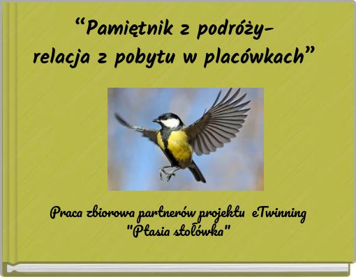 “Pamiętnik z podróży- relacja z pobytu w placówkach”