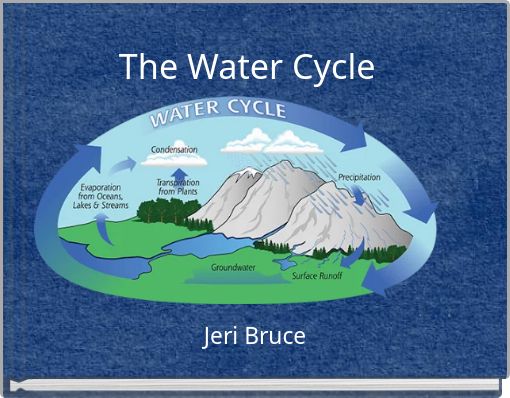 The Water Cycle