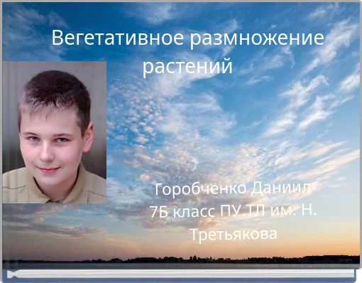 Вегетативное размножение растений