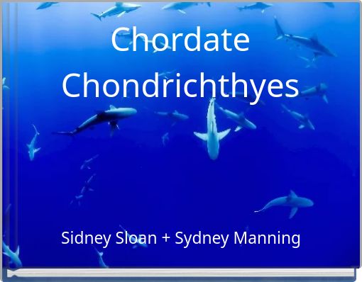 Chordate Chondrichthyes