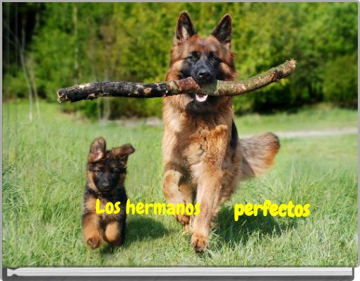Los hermanos perfectos