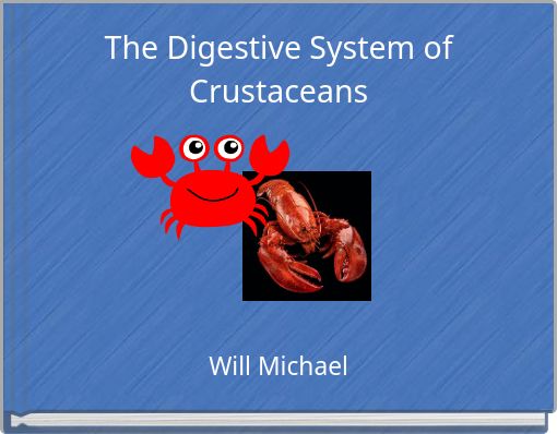 The Digestive System of Crustaceans