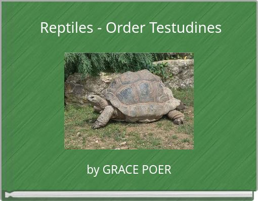 Reptiles - Order Testudines