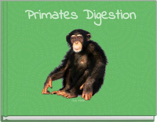 Primates Digestion
