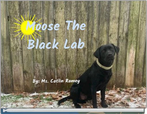 Moose The Black Lab By: Ms. Catlin Ramey