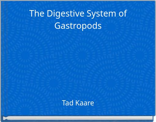 The Digestive System of Gastropods