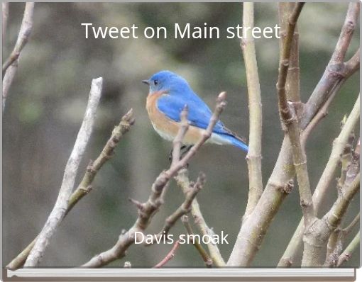 Tweet on Main street
