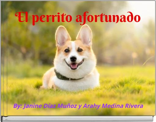 El perrito afortunado