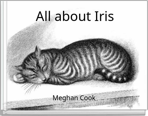 All about Iris