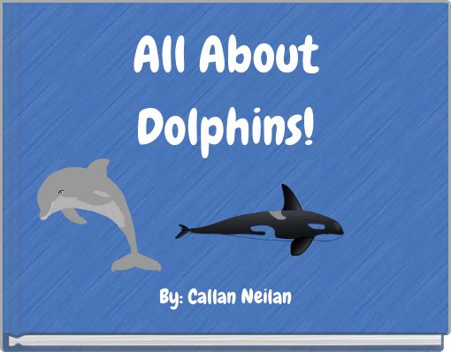 All About Dolphins!