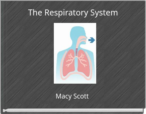 The Respiratory System
