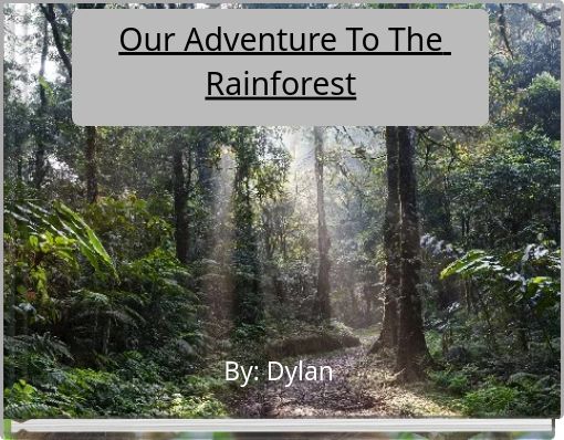 Our Adventure To The Rainforest