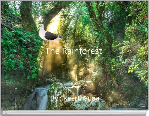 The Rainforest