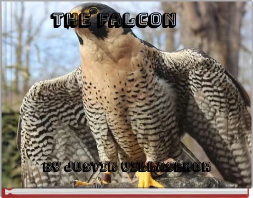The Falcon