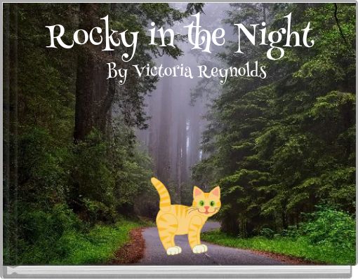 Rocky in the Night