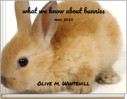 what we know about bunnies mar, 2023