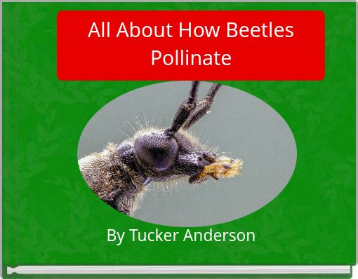 All About How Beetles Pollinate