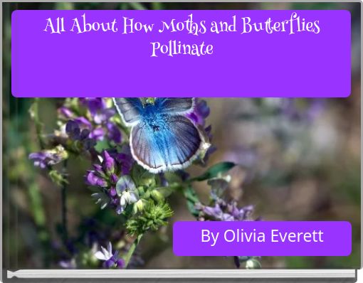 All About How Moths and Butterflies Pollinate