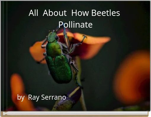 All About How Beetles Pollinate