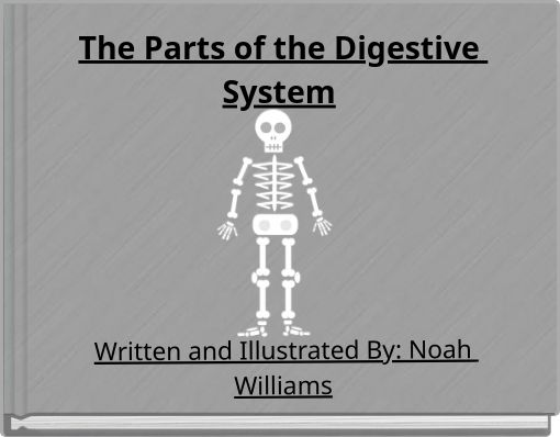 The Parts of the Digestive System