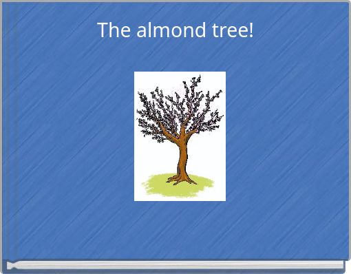 The almond tree!