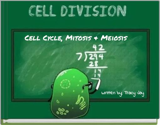 Cell Cycle, Mitosis & Meiosis