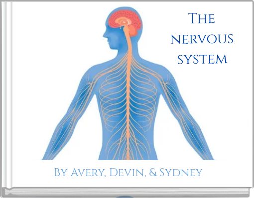 The nervous system