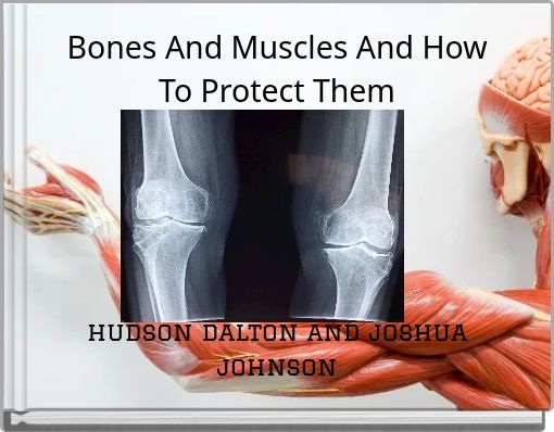 Bones And Muscles And How To Protect Them