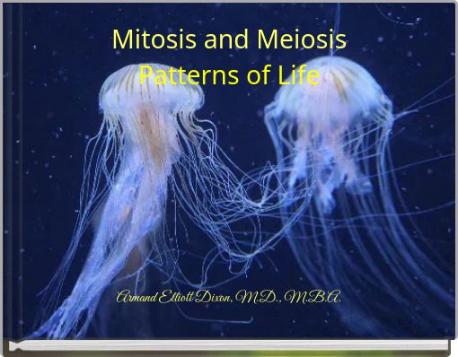 Mitosis and Meiosis Patterns of Life