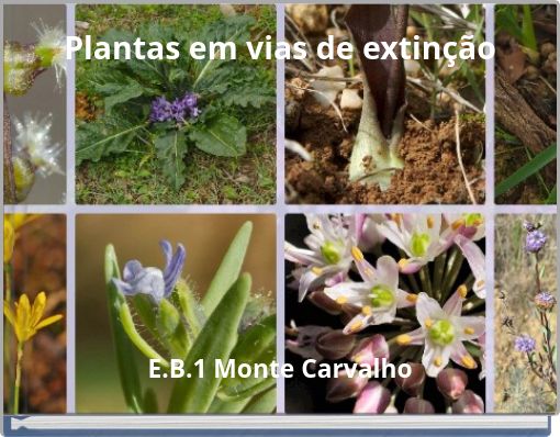 Plantas em vias de extinção