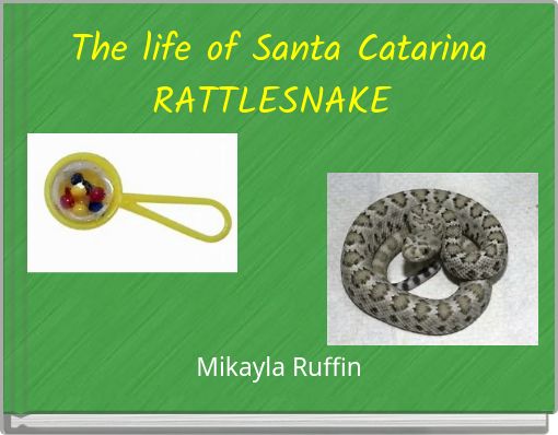 The life of Santa Catarina RATTLESNAKE