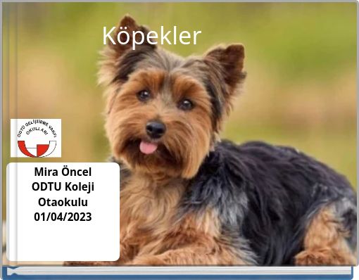Köpekler