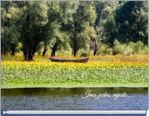 Ima jedno mjesto...