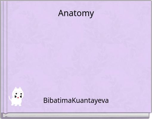 Anatomy