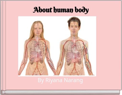 About human body