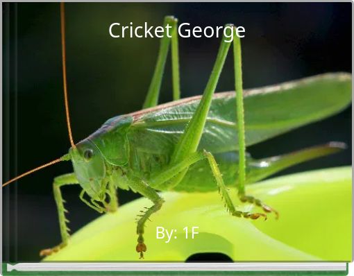 Cricket George