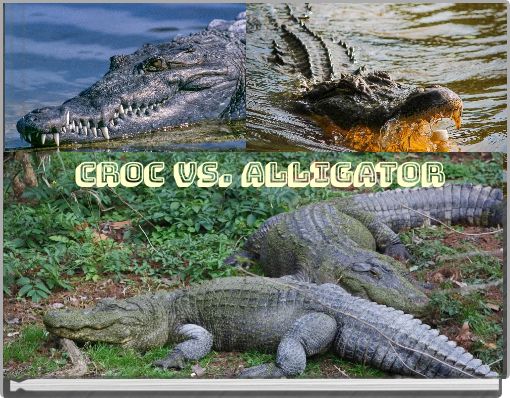 CROC VS. ALLIGATOR