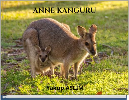 ANNE KANGURU